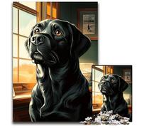 1000Piece Jigsaw Black Labrador by Window Puzzles for Adults for Teenagers Family Fun DIY Brain Teaser Game Gift 1000 PCS(38x26cm)