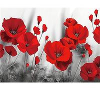 1000piece paper puzzle poppy flower suitable for living room bedroom home decoration suitable for children Christmas full round beads 52x38cm