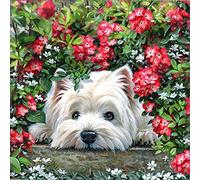 1000piece paper puzzle red flower dog crafts suitable for home office wall decoration decorative gifts 52x38cm