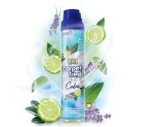 1001 Carpet Fresh Feel Calm - Serene Sanctuary Carpet Freshening Scent for Stress-Free Living, Hours of Freshness, Quick drying, For use On Carpet Rug Upholstery Freshening Foam 300ml
