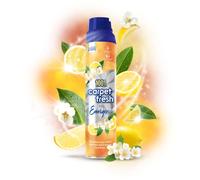1001 Carpet Fresh Feel Energised Upholstery Odour Remover Spray, 6x300ml