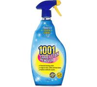 1001 Carpet stain remover 500ml trigger spray