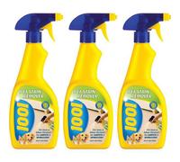 1001 Pet Stain Remover 500Ml (Pack Of 3)