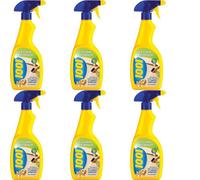 1001 Pet Stain Remover 500Ml (Pack Of 6)