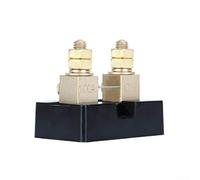 100a 100mv Dc Current Shunt Resistor For Ammeter With Brass Build And High Accuracy Class 0.25 For Solar Power Monitoring
