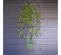 100cm Artificial Hanging Acer Spider Plant Leaf Green One Size