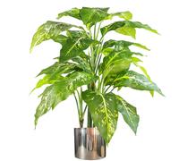 100cm Large Fox's Aglaonema (Spotted Evergreen) Tree Artificial Plant with Silver Metal Planter
