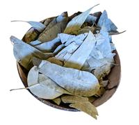 100g / 0.22lbs Dried Moroccan Premium Eucalyptus Leaves | Personally Sourced | High Grade Raw Material