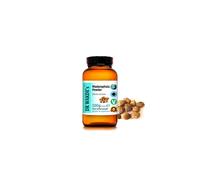 (100g /3.5oz) DR WAKDE'S Madanaphala Powder (Randia spinosa) | 100% Pure Ayurvedic Herb | Vegan, Plant-Based, All-Natural