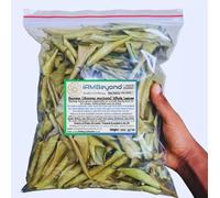 100g (approx. 250 pcs) Organic Dried Soursop Leaves (Whole) (Small)