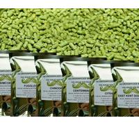 100g Challenger Hop Pellets - 2023 Crop. Cold Stored CO2 Flushed for Freshness- Home Brew Hops for Beer Brewing.