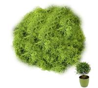 100g Fake Moss,Artificial Moss for Indoor Plant Pots,Natural Dark Green Faux moss Balls,Decorative Artificial Plants,for Wreath Making/Floristry/Crafts/Arts/Home/Garden/Patio/Easter Decorations