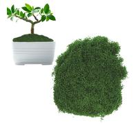 100g Fake Moss CHUNLINLAODA Artificial Moss Decorative Moss Natural Dark Green Faux Moss Fake Green Lichen Plants for Arts and Crafts, Christmas and Easter Decorations, Landscaping (A)