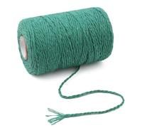 100M 100% Cotton Rope for Party Wedding Decoration Accessory Colorful Twine Cord String Thread with 12 Color Crochet Kits for Beginners Adults(Type12)