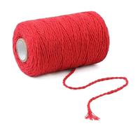 100M 100% Cotton Rope for Party Wedding Decoration Accessory Colorful Twine Cord String Thread with 12 Color Crochet Kits for Beginners Adults(Type13)