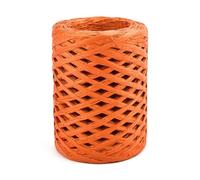 100m Natural Raffia Straw Yarn Hand-Knitted Crocheting Rafia Straw Paper Yarn for DIY Handmade Summer Straw Sunhat Beach Bag(R)