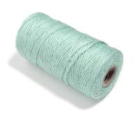 100M/roll Color Jute Twine Braided Burlap Strings Hemp Cords for DIY Wedding Party Home Decoration Wrapping Handmade Supplies Crochet Kits for Beginners Adults(Mint Green)
