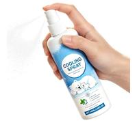 100ml Clothing Cooling Spray Quick-Dry Fabric Mist Quick Dry Fabric Refresh