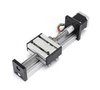 100mm Long Stage Actuator Linear Stage 1204 Ball Screw Linear Slide Stroke With 42mm Stepper Motor
