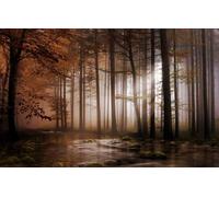 100pc Cute Premium Jigsaw Puzzle - Every Piece is Unique - Challenging Adult Family Fun Game, Trees 45,5x35,5CM