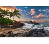 100pc Premium Jigsaw Puzzle - Every Piece is Unique - Challenging Adult Family Fun Game, Ocean, Rocks, Surf, Hawaii, Maui, Tropics 45,5x35,5CM