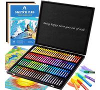 100pc Soft Pastel Art Set, Chalk Pastels Class Pack, Pastel Paint, Portrait Kit, Drawing Pastels, Color Charcoal Sticks, Art Supplies for Kids, Beginners, Students, Experienced Artists