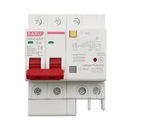 100pcs 10A 2P SPD Residual Current Circuit Breaker with Overload Overvoltage RCBO RCCB with Lightning Protection MCB Leakage Protector