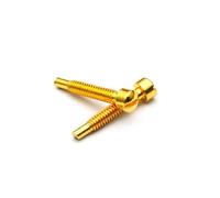 100Pcs 3x21MM Slotted Screw Polepiece Pole Screws Guitar Pickup Parts Screw Rods 21mm Lenght 3mm Diameter Black/Gold/Chrome(Gold 100Pcs)
