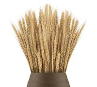 100pcs 40cm Dried Wheat Flowers Sheaves Dry Wheat Grass Bouquet Dried Wheat Grass Bundle Artificial Wheat Dried Flowers for Fireplace Home Kitchen Church Table Wedding Christmas Wreath Decoration 1
