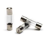 100PCS 5x20mm Electrical Assorted Quick Blow Fuse Fast-blow Glass Fuse Mix Set with Box 0.25A/0.3A/0.5A/0.75A/1A/2A/3A/4A/5A/6A