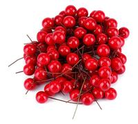 100Pcs Artificial Holly Berries 10mm Plastic