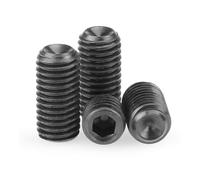 100pcs Black M2 .5 M3 M4 M5 M6 M8 M10 Carbon Steel Hex Socket Set Screw 12.9 GRADE(6mm,M6 x100pcs)