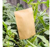 100PCS Brown Paper Bags 9x13CM Envelopes for Personal Touch and Organization