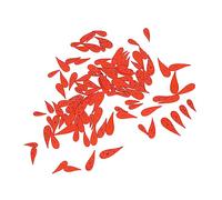 100pcs Carrot Buttons, Wood Craft Buttons with 2 Holes, 4 Sizes Orange DIY Sewing Buttons for Christmas and Crafts - Cute Design, Smooth Polished Surface, Perfect for Decoration (Bent)