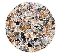 100PCS Cartoon Cat Stickers - Vinyl Skateboard, Guitar, Door, Laptop, Luggage, Car, Bike, Water Bottle, Birthday Party Supplies