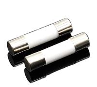 100pcs Ceramic Fuse 5mm x 20mm Slow Blow T 0.5A 1A 2A 3A 4A 5A 6A 8A 10A 13A 15A 16A 20A 250V(10A)