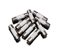 100pcs Ceramic Fuse 5mm x 20mm Slow Blow T 0.5A 1A 2A 3A 4A 5A 6A 8A 10A 13A 15A 16A 20A 30A 250V Car Cigar Microwave Oven (Color : 10A, Size : 5mm x 20mm)