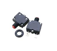 100Pcs Circuit Breaker Overload Protector Switch Fuse 3A 5A 8A 10A 12A 15A 18A 20A 25A 30A Resettable 220V with Waterproof Cap(30A)