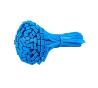 100Pcs Color 3x100mm Width 2.5mm Self Locking Cable Ties Nylon Wire Zip Fastening Ring Plastic Binding(Blue 100PCS)