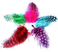 100Pcs Discover Pretty Guinea Hen Loose Feathers 2.5-10 cm Craft DIY,Embellishments Scrapbooking and Stamping