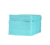 100Pcs Disposable Pet Pee Pads 33X45Cm Training Mats for Small Animals Like Guinea Pigs Hamsters and Kittens - Random Colors