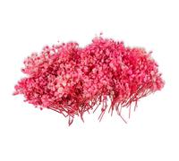 100Pcs Dried Flowers for Crafts, Gypsophila Artificial, Pink Baby Breath | Wedding Decorations, Vase Filler, 6-8cm Blooms, Home Decor Centerpieces, DIY Bouquet, Boxed