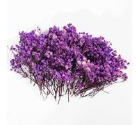 100Pcs Dried Flowers for Crafts, Gypsophila Artificial, Purple Baby Breath | Wedding Decorations, Vase Filler, 6-8cm Blooms, Home Decor Centerpieces, DIY Bouquet, Boxed