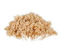 100Pcs Dried Flowers for Crafts, Gypsophila Artificial, Yellow Baby Breath | Wedding Decorations, Vase Filler, 6-8cm Blooms, Home Decor Centerpieces, DIY Bouquet, Boxed
