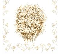 100PCS Dried Pressed Flowers, Natural Dried Gypsophila Mini Breath Flowers for Diy Crafts, Candle Resin Jewelry, Nail Art, Floral Decorations (Beige)