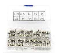 100pcs Fast Blow Fuses Assortment Kit 5 * 20mm 0.2A 0.5A 1A 2A 3A 5A 8A 10A 15A 20A in a Box