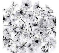 100Pcs Flower Theme Sticker, Aesthetic Sticker, Black and White