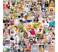 100Pcs Funny Meme Stickers, Classic Funny Stickers for Adults, Fashion Decals Graffiti Colorful Waterproof Vinyl Decals for Laptop Skateboard