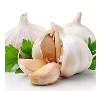 100Pcs Garlic Pure Natural and Organic Vegetable Healthy and Delicious Pungent Spice Vegetable : 2
