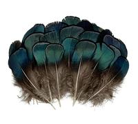 100pcs Green Feathers Plumage for Crafts Bronze Iridescent Inches Long 1.5-3 Inch